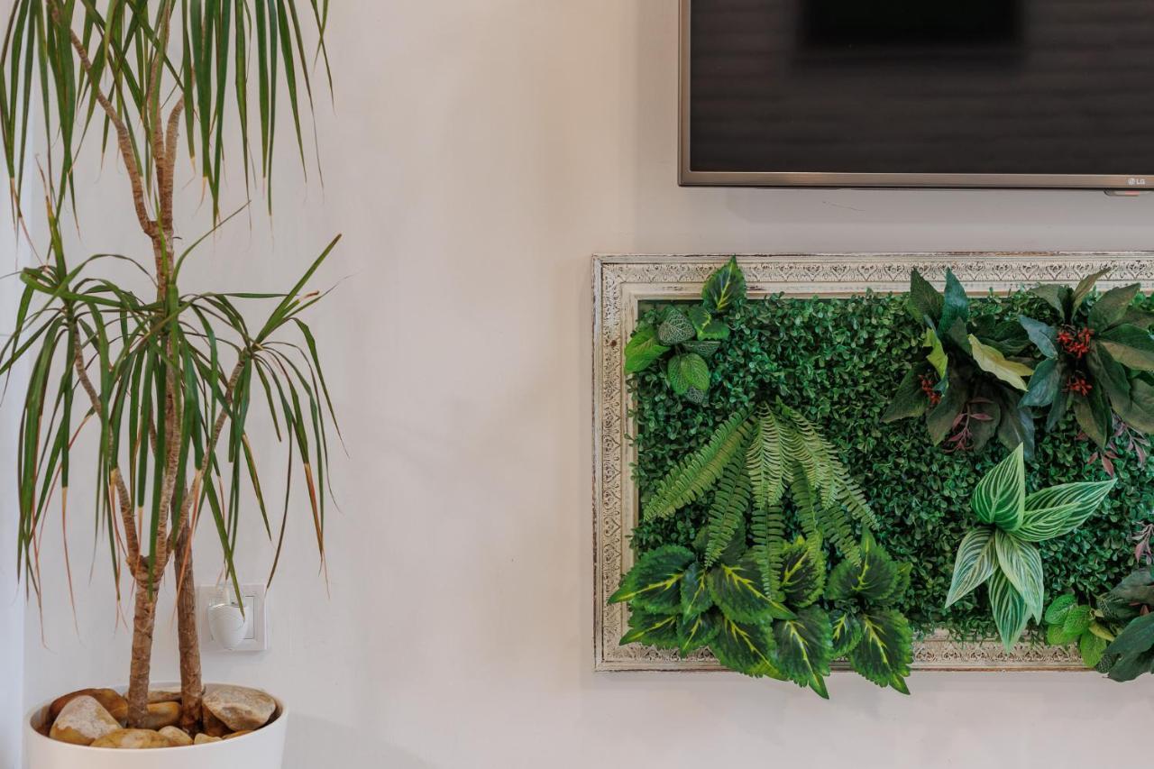 Loft Con Mucha Luz En El Centro Barrio Ruzafa Villa Valencia Exteriör bild
